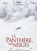 La panthère des neiges