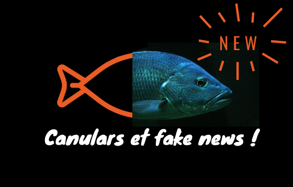 canulars et fake news