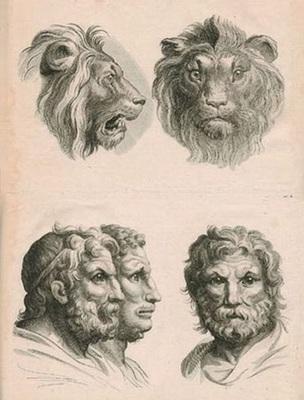 rapports homme animal