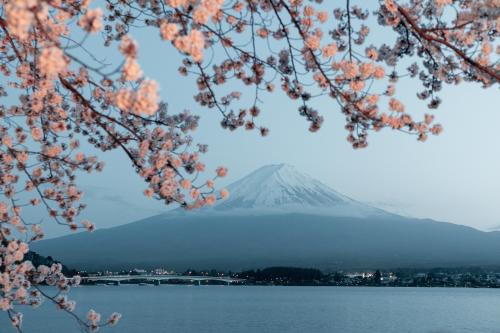 Mont Fuji avec des fleurs