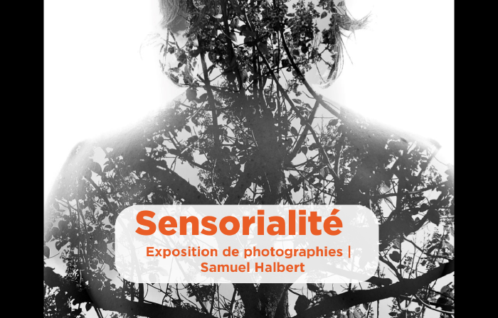 sensorialite : exposition de photographies Samuel Halbert