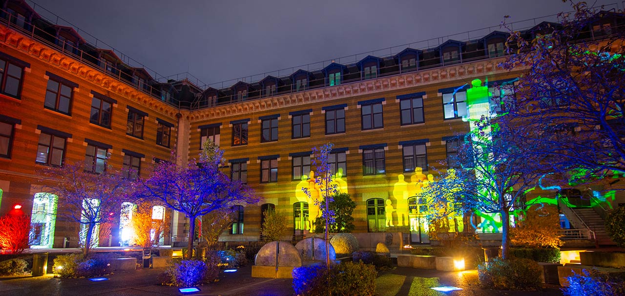 la facade de la bu de la manu eclairée pour la fete des lumières