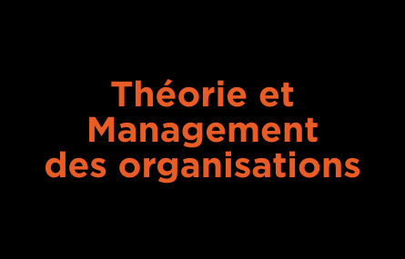 Theorie et Management des organisations