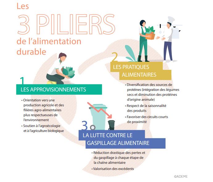 les 3 pîliers de l'alimentation durable 