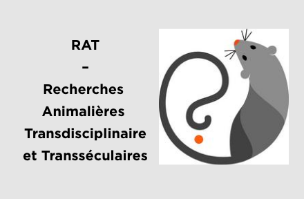 photo carnet hypotheses RAT