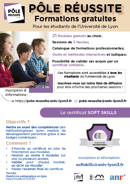 visuel soft skill pole réussite Lyon 3